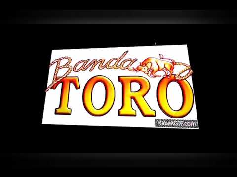 Video Popotitos de Banda Toro