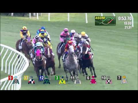 12/3/2022 (498) Copartner Ambition - Z Purton