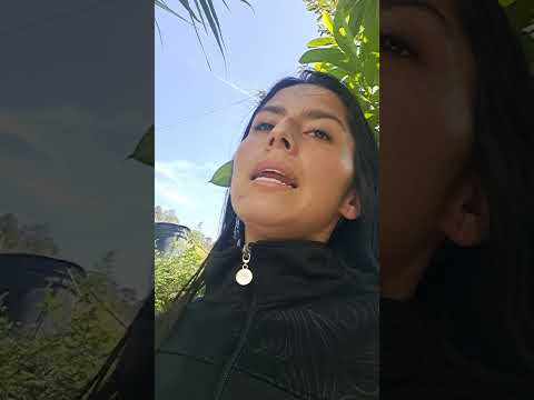 RESIDUOS SOLIDOS EN LA ZONA RURAL DE SUTATENZA : UNA AMENAZA CRECIENTE QUE EXIGE ACCIONES URGENTES 