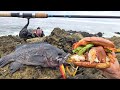 Catch And Cook On The Rocks Bacon Avocado Coconut Crusted Fish Fillet W Honey Glaze Sauce