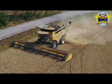 #RÖTTERNA - Höstveteresan 2018 - Dags för Johan att tröska höstvete i Töreboda