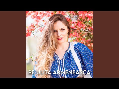 Pe Ulita Armeneasca