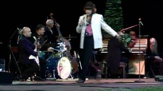 &quot;Helge Schneider&quot; - Live im Hamburger Stadtpark 2009 Teil 6