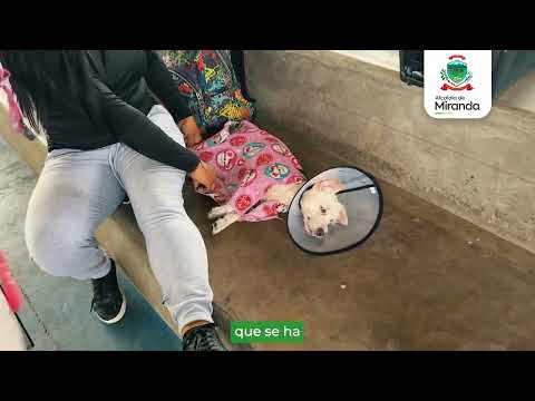 esterilizacion pe ga