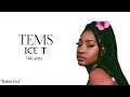 TEMS - ICE T (The Lyrics)