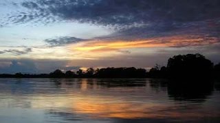 Hay Amores  Shakira  (El Amor En Los Tiempos Del Colera)