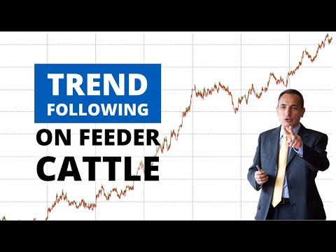 Trading on Feeder Cattle? Two Strategies with Great Equities