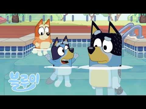 수영장 🤿🐠 | 1시간 넘게 온 가족이 함께 즐길 수 있는 재미 💙 | 블루이 - 한국 공식 채널 - Bluey