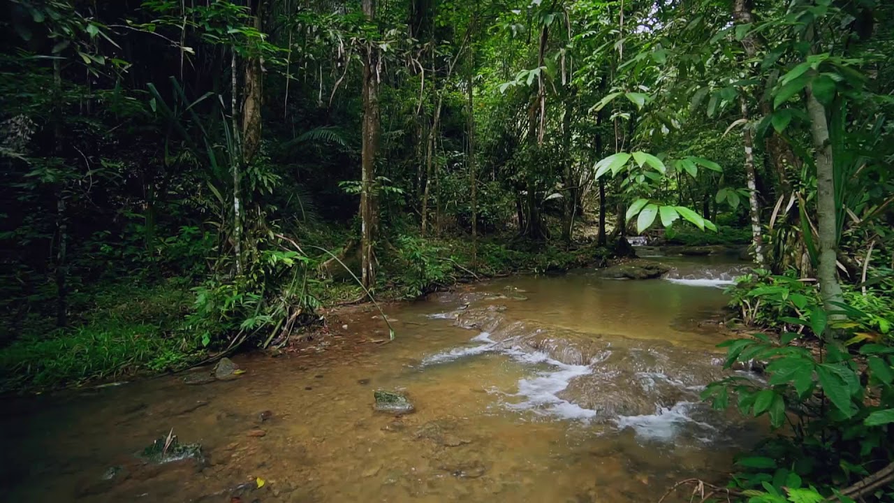 Sa Nang Manora Forest Park