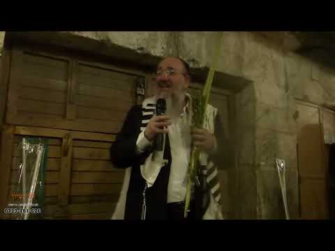 סיבוב שערים - שער הכותנה - הרב אפרים זילברמן - סוכות תשפ"ז