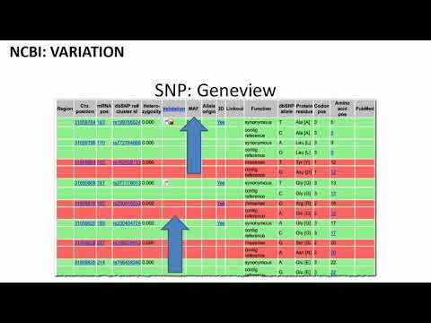 Quantitative Biological Research with Python - Lesson 12, Lecture - The 1000 Genome Project & ExAC