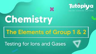 Testing for Ions and Gases