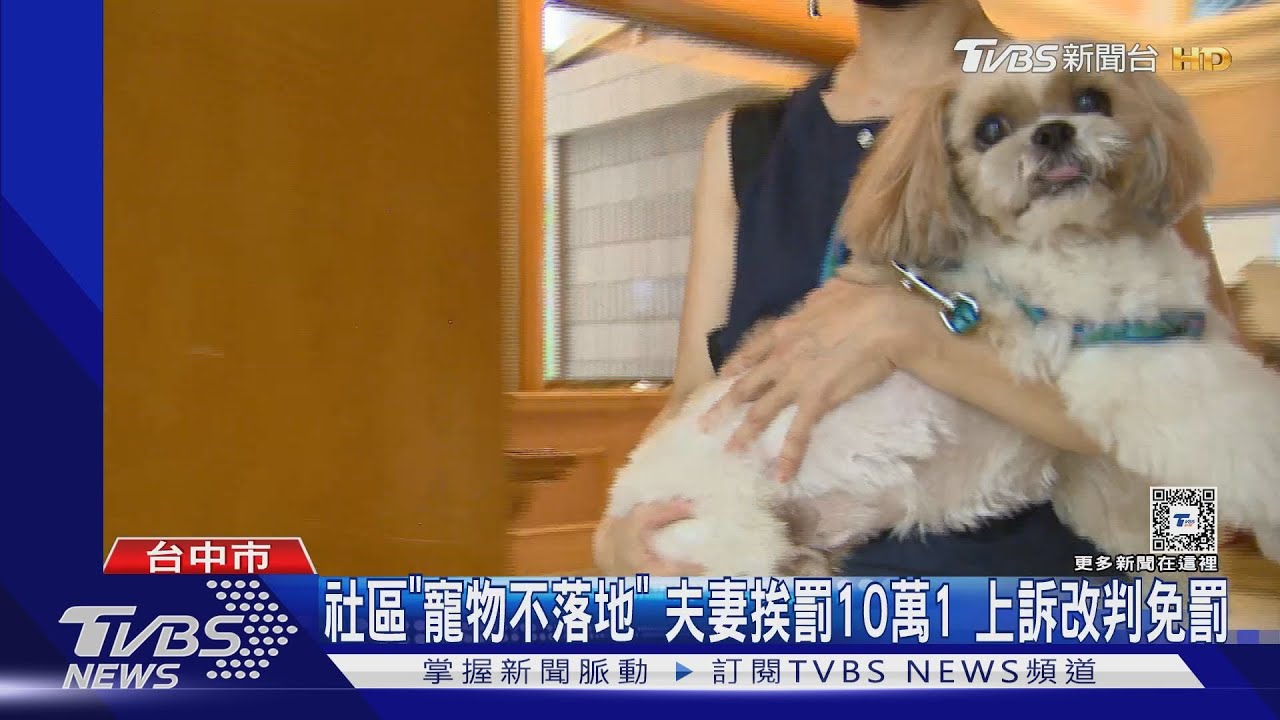 社區「寵物不落地」夫妻挨罰10萬1 上訴改判免罰