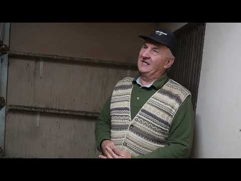 Golubarske priče Žika Čerkez