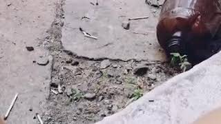 С бутылки огонь.