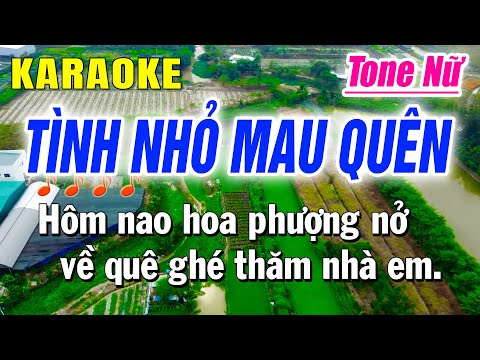 Karaoke Tình Nhỏ Mau Quên Tone Nữ Nhạc Sống | Huỳnh Lê