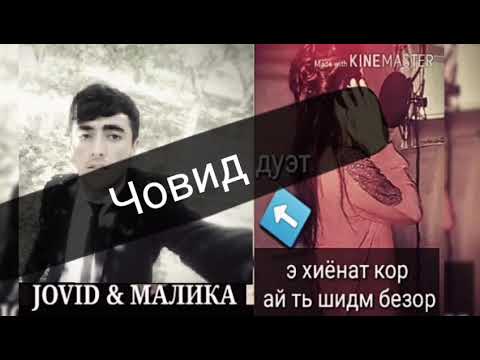 ЧОВИД |||ва |||МАЛИКА[дует]