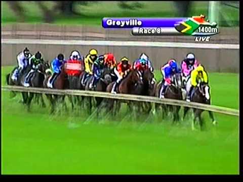 2013-05-04 Greyville - race 8