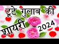 टूटे गुलाब की शायरी 2024🌹Tute Gulab Ki Shayari 🌹 Best Gulab Shayari In Hindi