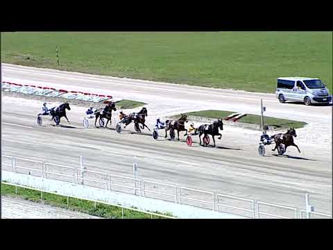 Napoli Trotto 05/05/2023 - 2ª corsa