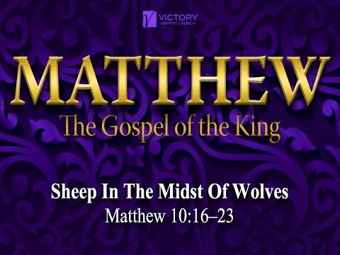 53) Sheep In The Midst Of Wolves