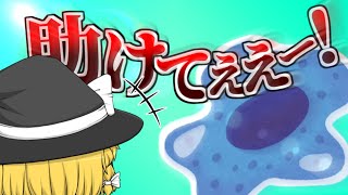 【ゆっくり茶番】アメーバになってしまいました