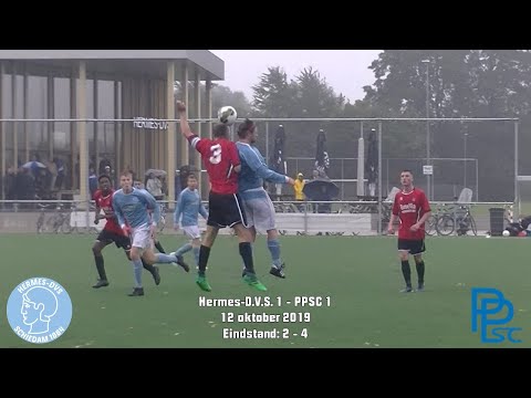 Samenvatting Hermes-D.V.S. 1 -  PPSC 1
