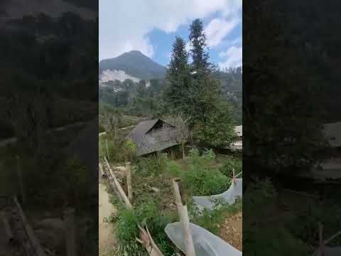 Đất nền Sapa đón sóng khởi công sân bay giá đầu tư chưa đến 3tr/m2