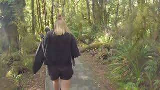 Hokitika gorge, Thunder Creek falls & Fantail falls