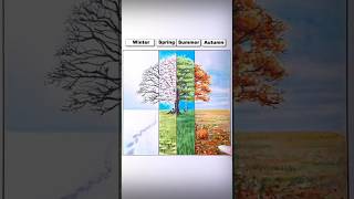 Download lagu How To Draw Winter,Spring Summer & Autumn Season Drawing Easy #shorts #art #drawing #viral mp3