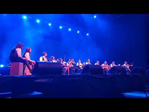 GRUPO DE CORDAS ENCANTA COM A SONORIDADE TÍPICA DE COIMBRA