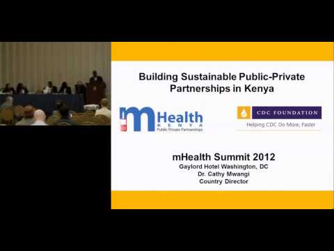 CDCF Session: Building Sustainable Public Private Partnerships - Implementing Partners' Perspectives