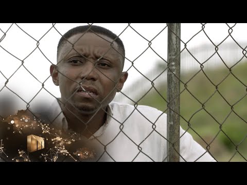 Unleash the beasts – Isibaya | Mzansi Magic