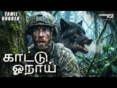 காட்டு ஓநாய் (The Wild Wolf)