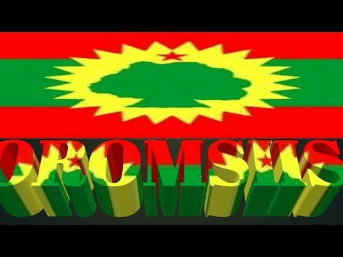 NEW WBO maaltu CAALE. Bashannanaa Haayluu. oromo