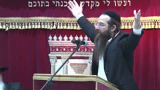 זהירות קנאה תאווה וכבוד | הרב יוסף דלויה