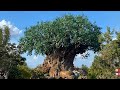 It S Tough To Be A Bug Full Show Disney S Animal Kingdom Walt Disney World