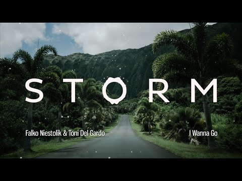 Falko Niestolik & Toni Del Gardo - I Wanna Go