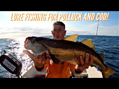 BIG POLLOCK - Lure Fishing For Pollock, Cod And Pouting Over A Old Shipwreck - Sea Fishing UK