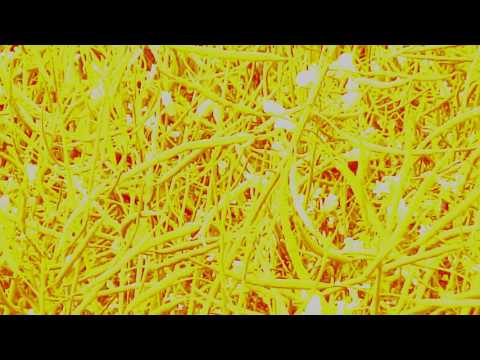 UNN - UNN-  Upoutávka na naše dvě písně.