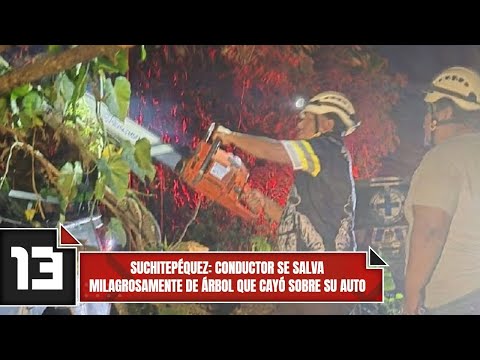 Suchitepéquez: conductor se salva milagrosamente de árbol que cayó sobre su auto