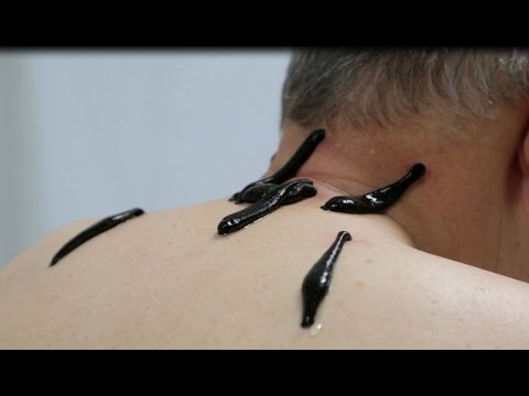 Болит правый бок и спина в области правой лопатки Печь ли остеохондроз