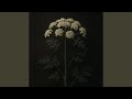 Honey & Hemlock