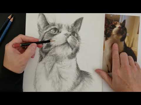 YouTube video about: How to draw cat whiskers on face?