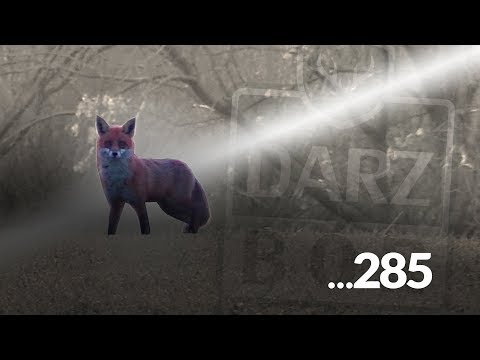 Darz Bór zapowiedź odcinka 285