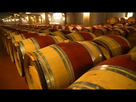 The winemakers of Bordeaux, France | Wine & Country