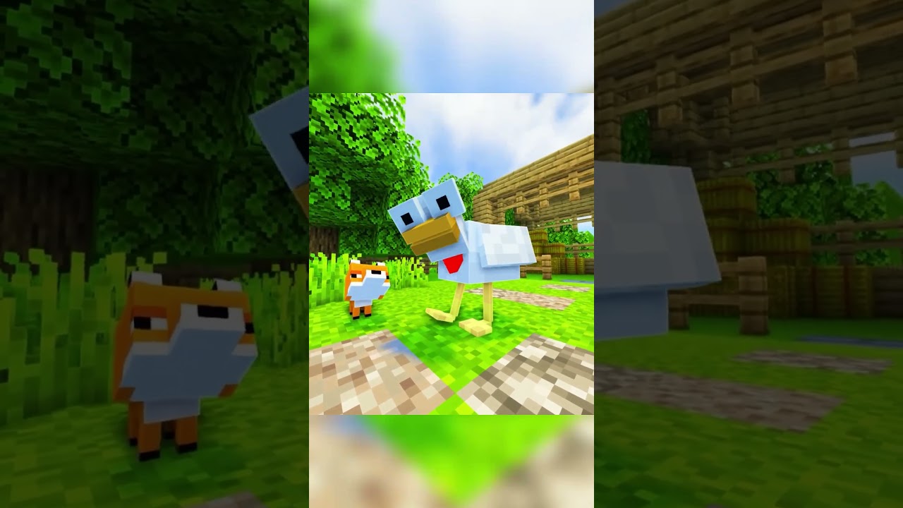 POV: Your A Minecraft Baby Sheep