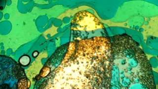 Pluto Project - Crystal Max video