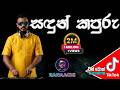 Sadun Kapuru සඳුන් කපුරු Tamil EDM Mix RANAACHI
