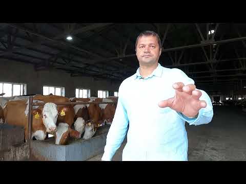 Сергей Буянов о ферме Полудинское